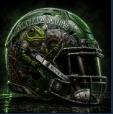 Junkyard Frogs helmet
